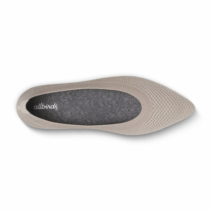 Breezer Point / Allbirds