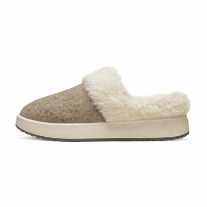 Kiwi Slipper / Allbirds