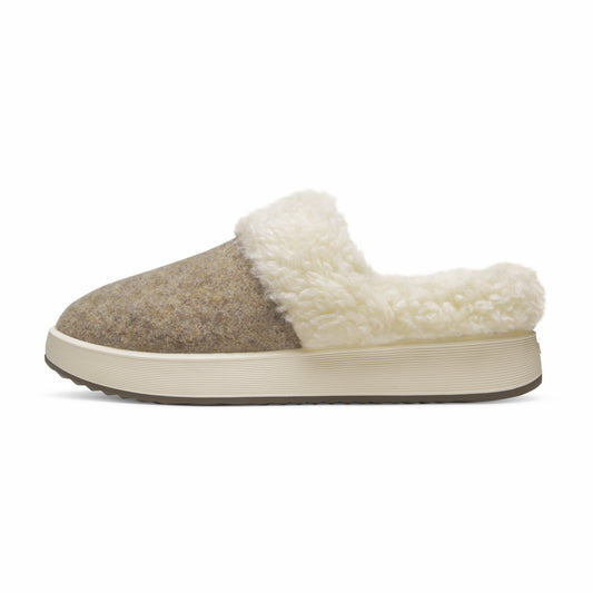 Kiwi Slipper / Allbirds