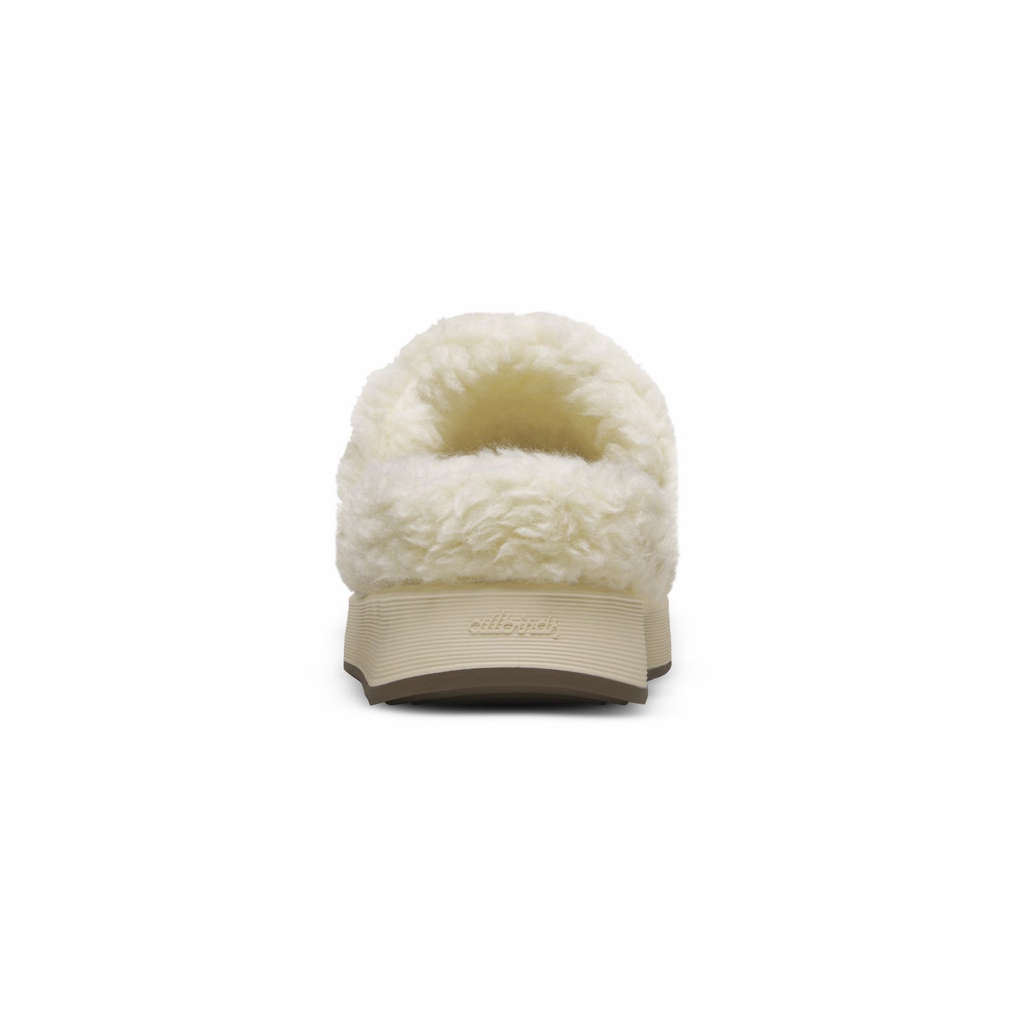 Kiwi Slipper / Allbirds