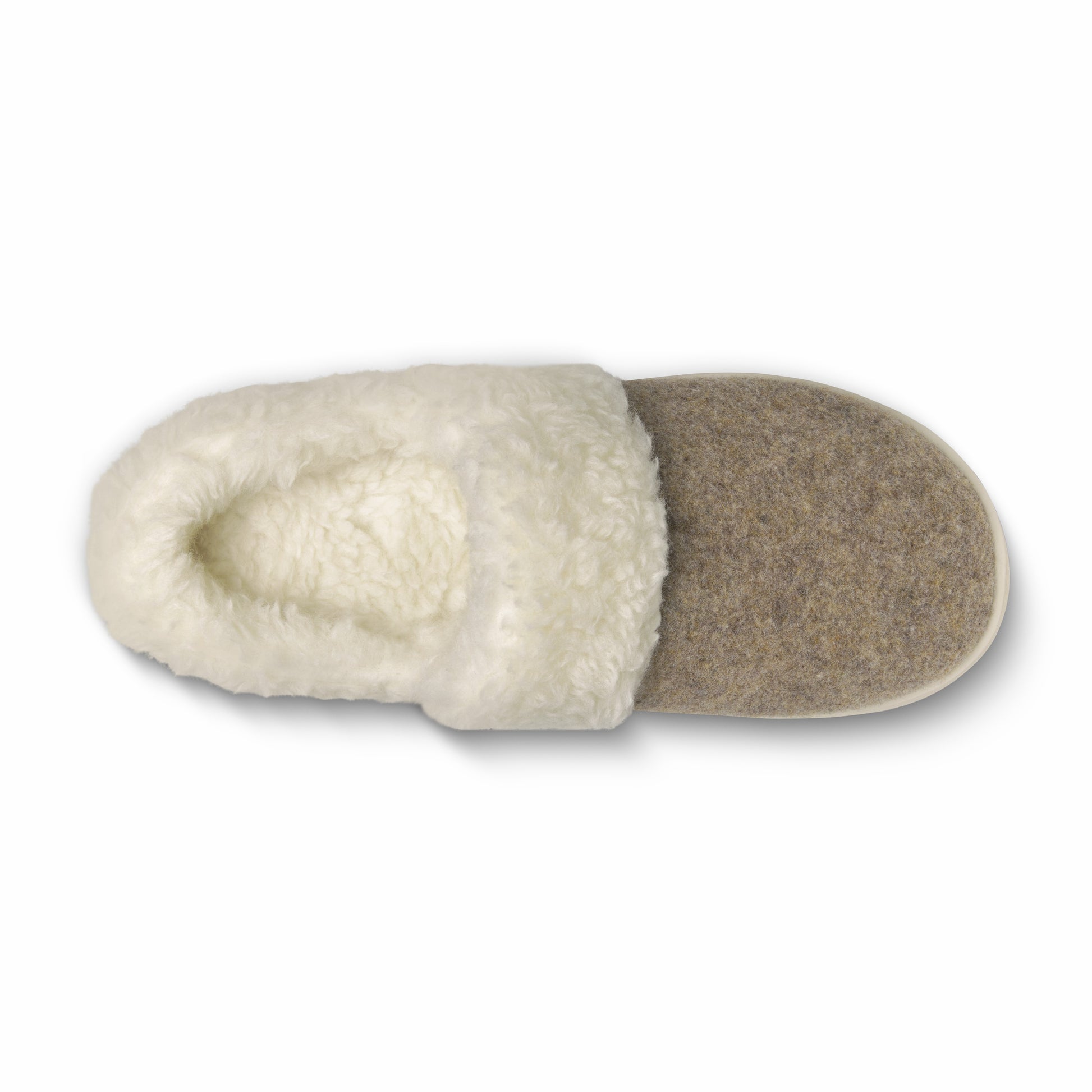 Kiwi Slipper / Allbirds