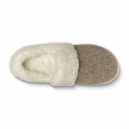 Kiwi Slipper / Allbirds