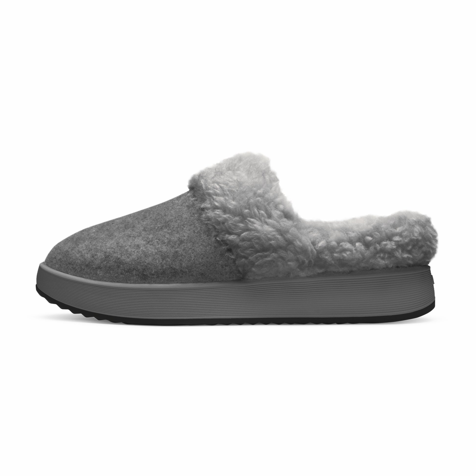 Kiwi Slipper / Allbirds