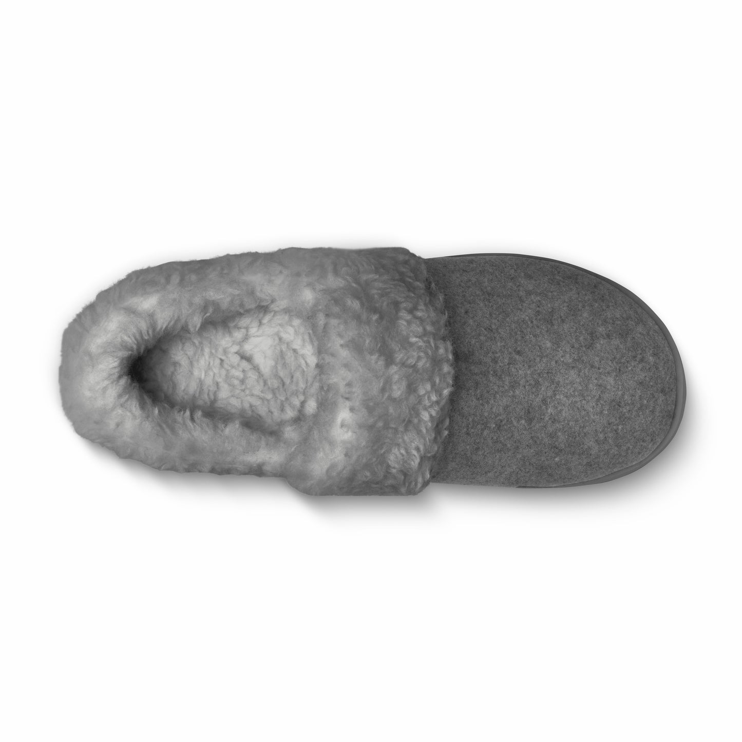 Kiwi Slipper / Allbirds