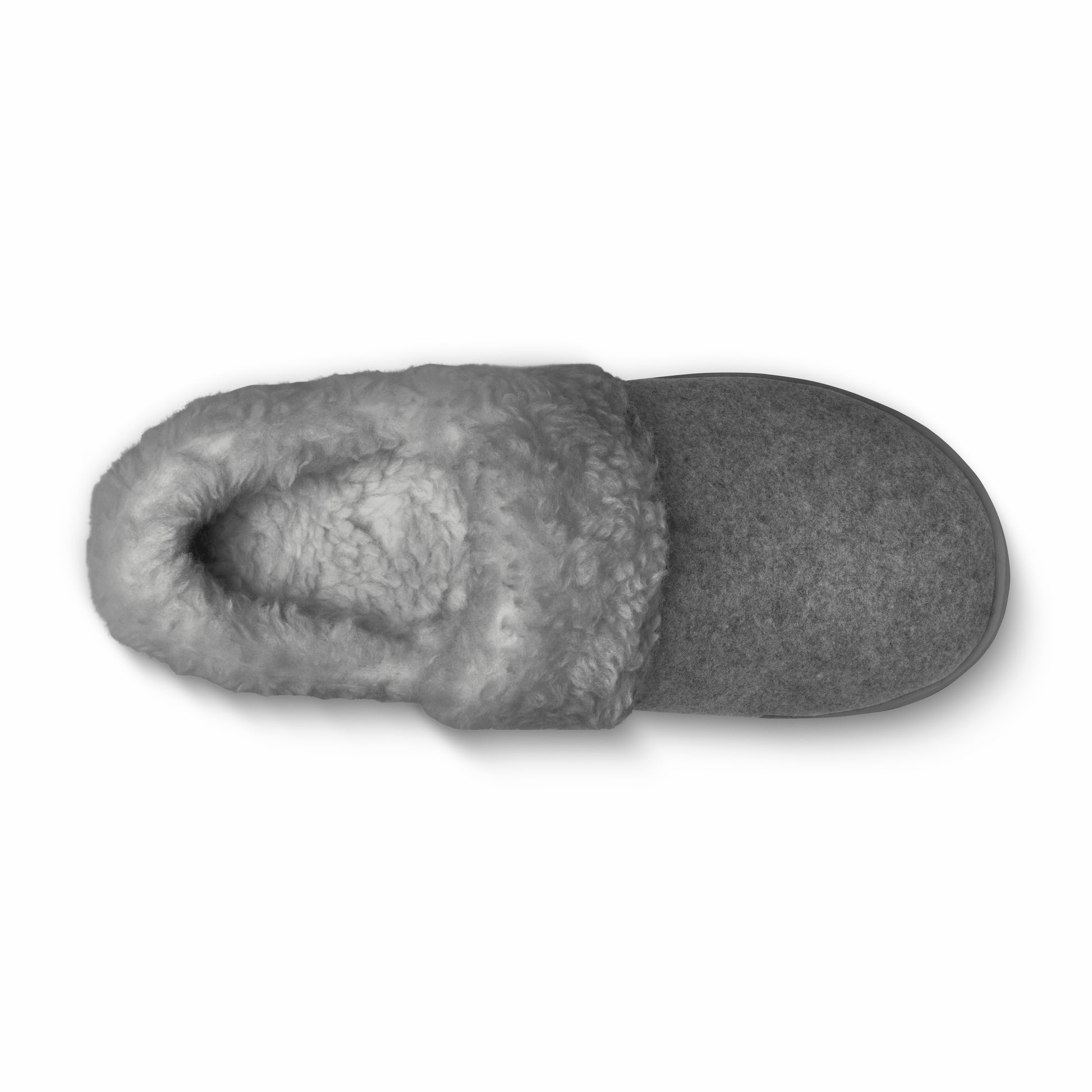Kiwi Slipper / Allbirds
