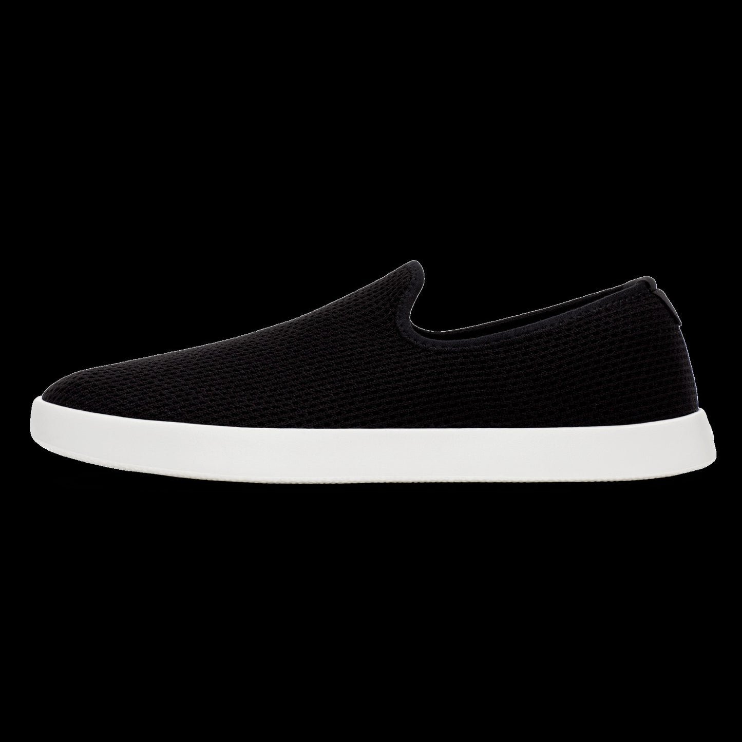 Tree Lounger / Allbirds
