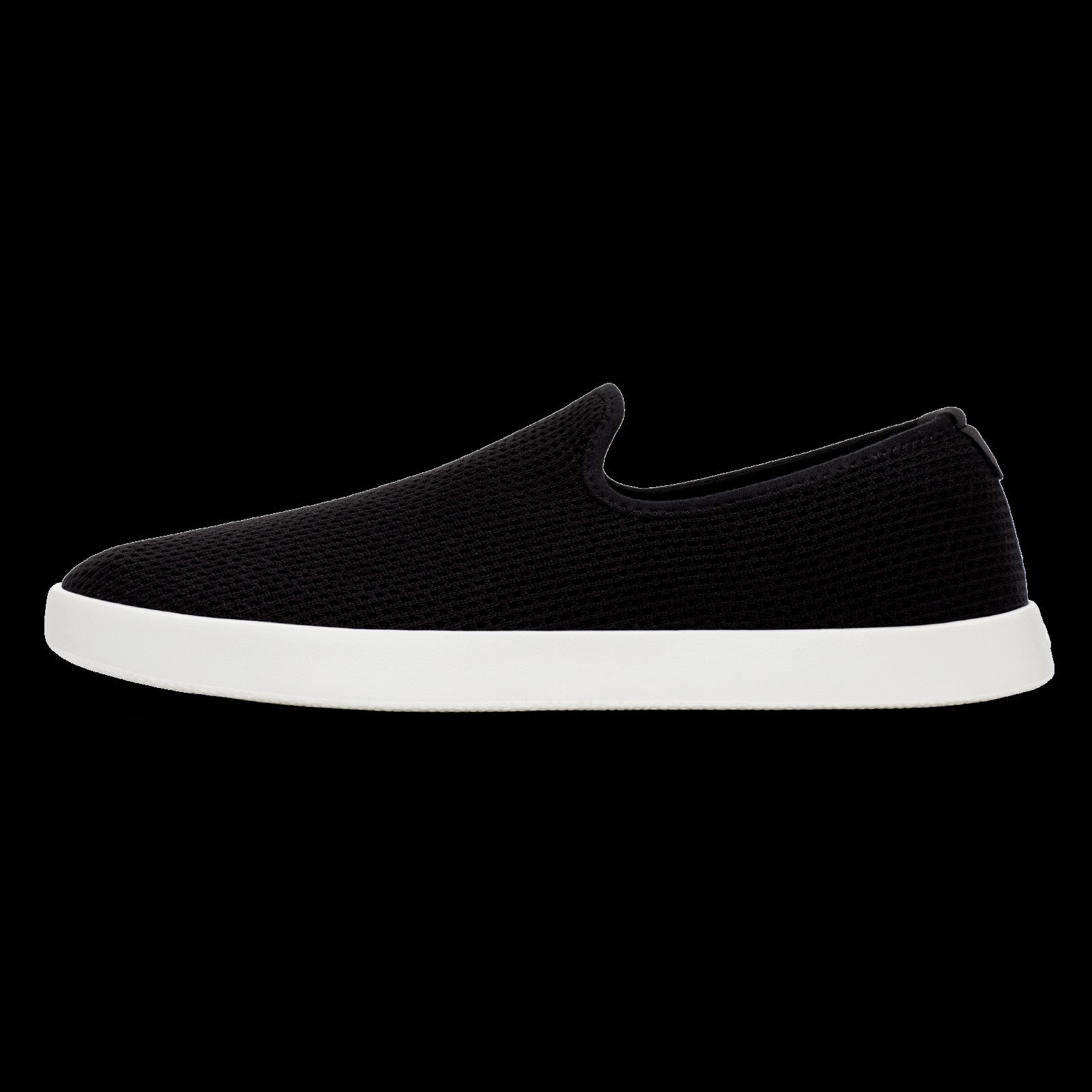 Tree Lounger / Allbirds