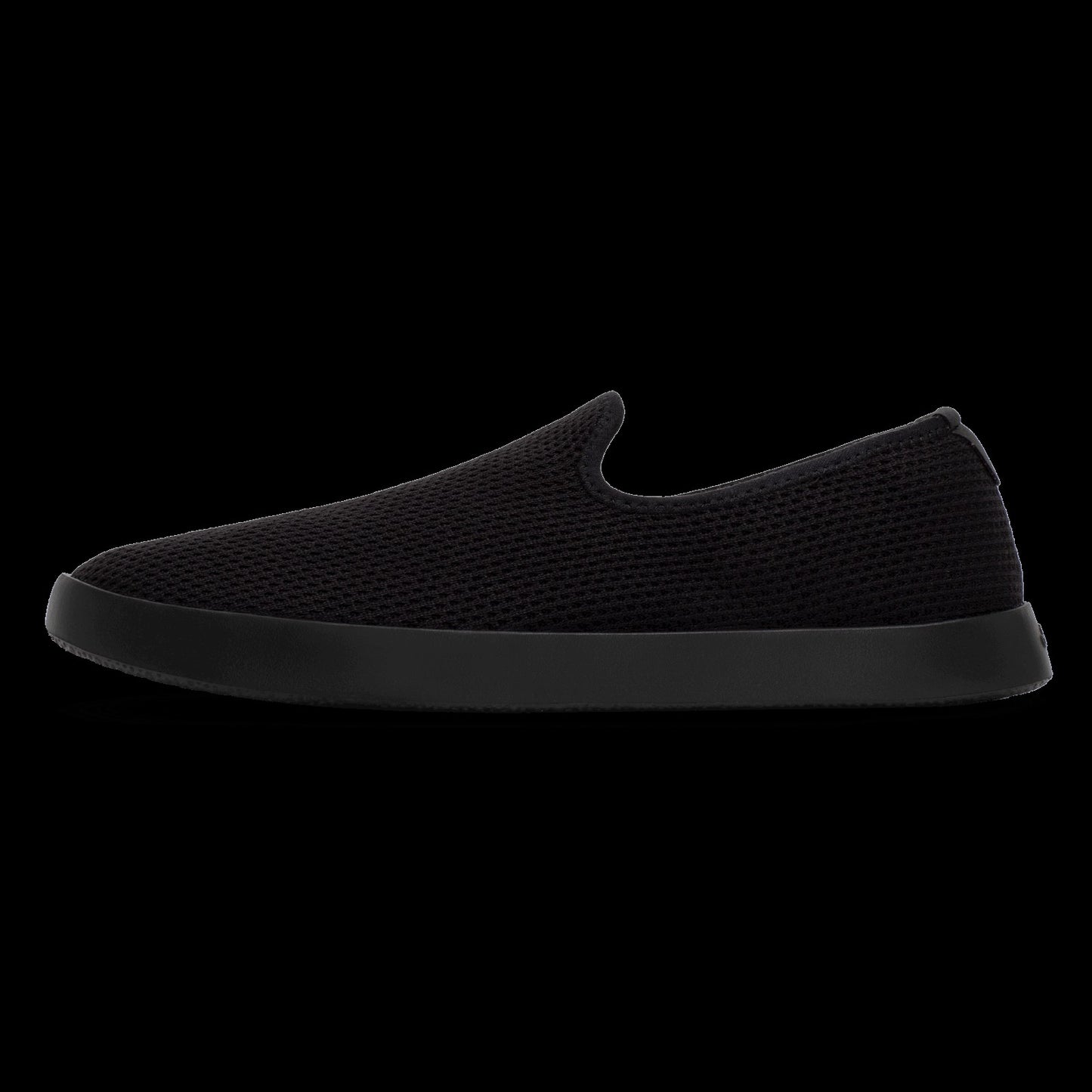 Tree Lounger / Allbirds