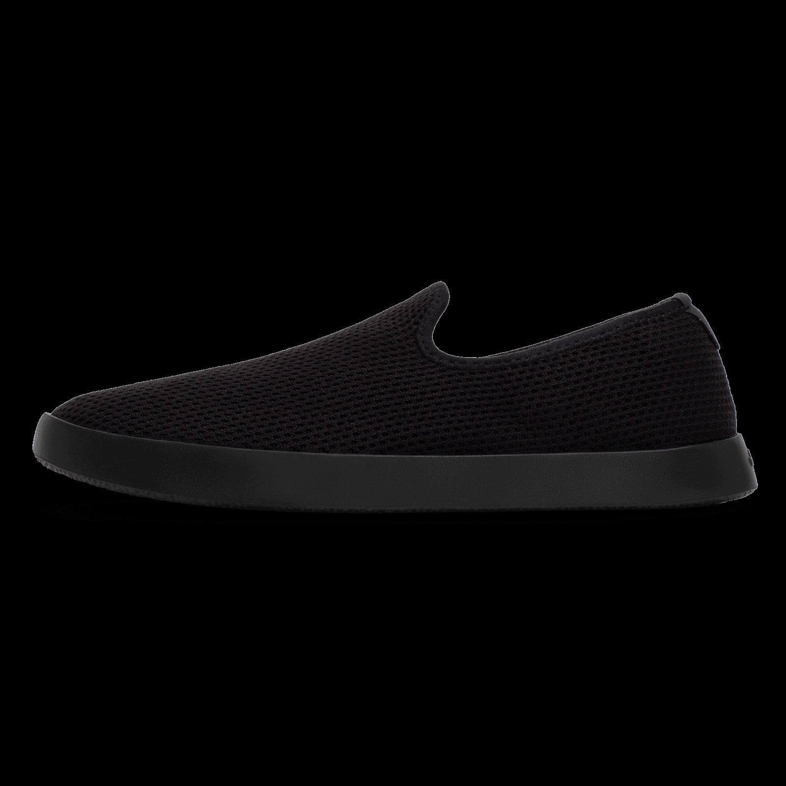 Tree Lounger / Allbirds