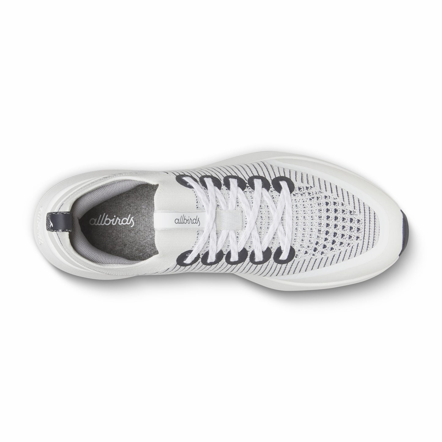 Strider / Allbirds