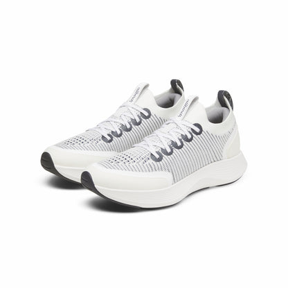 Strider / Allbirds